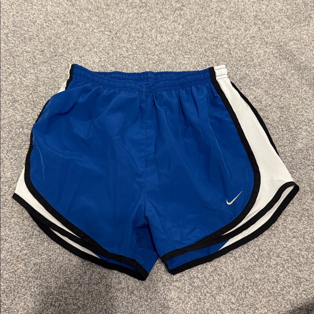 Nike Royal Blue and White Running Shorts